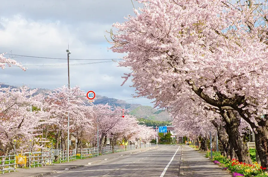「転職のタイミングを逃さない」最短8月採用、北海道北斗市が社会人経験者を全国募集 画像 4