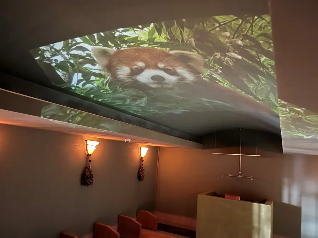 【北九州】動物園の世界を温浴施設で体験！「照葉スパリゾート門司店×到津の森公園」コラボ企画 画像 3