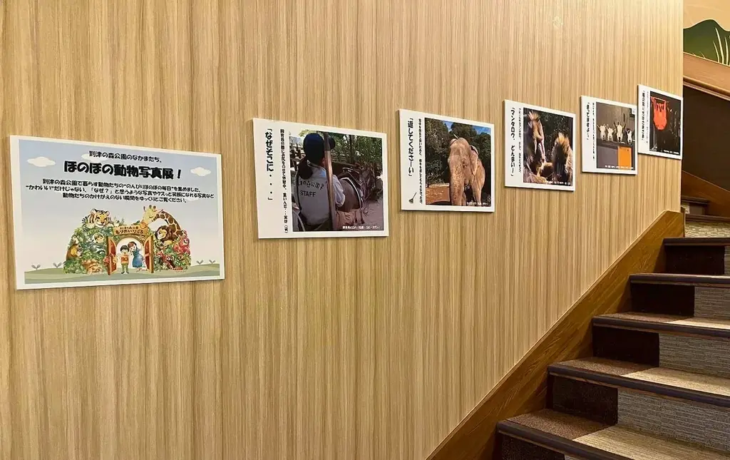 【北九州】動物園の世界を温浴施設で体験！「照葉スパリゾート門司店×到津の森公園」コラボ企画 画像 9