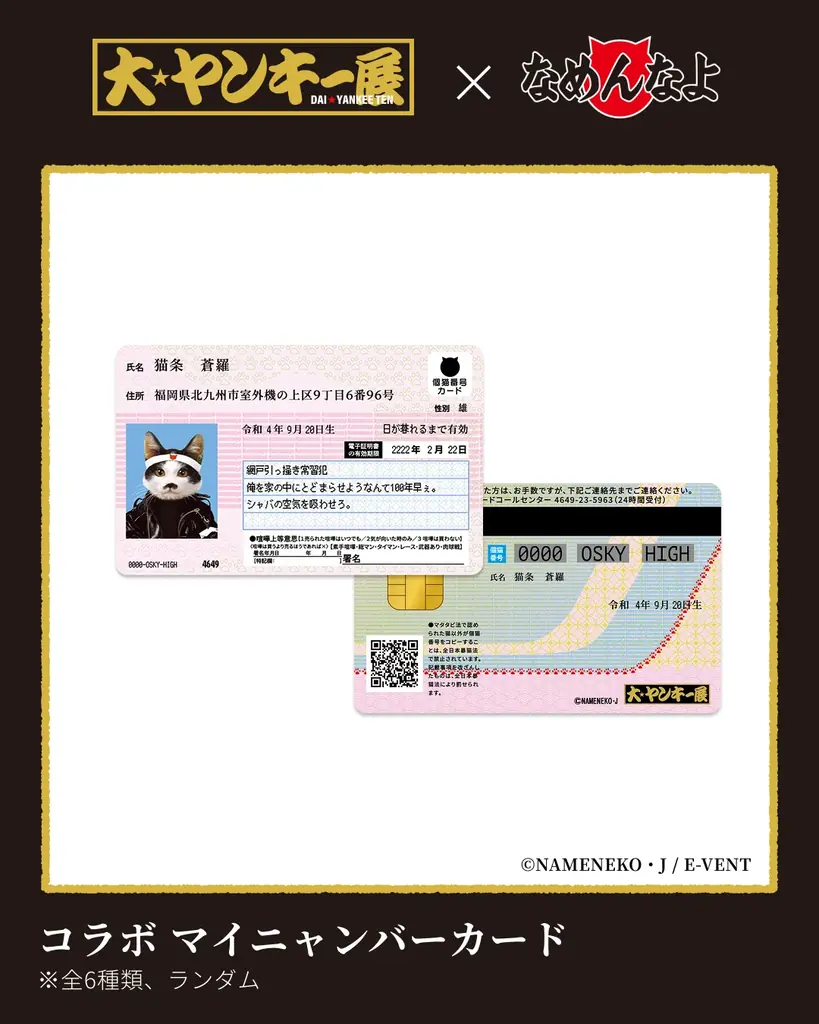 【ニコニコ超会議2026】“ヤンキー文化”を体験できる「大ヤンキー展」が初出展！『アルプスの少女ハイジ』コラボの初公開フォトパネルも登場 画像 9