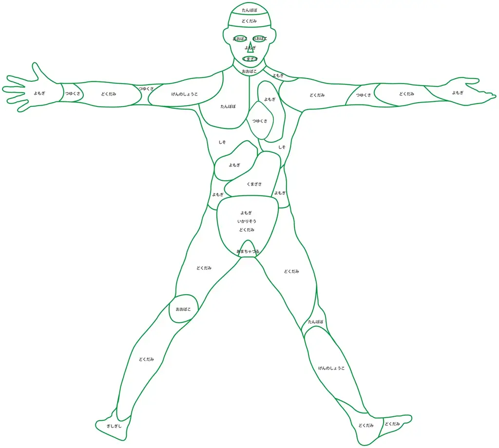 古くから薬草と深いゆかりのある多気町に、“人型のランドスケープアート”誕生！人型をした巨大なハーブ畑がVISONに登場 画像 2