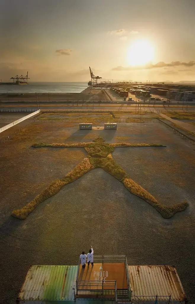 古くから薬草と深いゆかりのある多気町に、“人型のランドスケープアート”誕生！人型をした巨大なハーブ畑がVISONに登場 画像 8