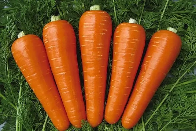 旬の味わい華やかに【徳島 春にんじんフェア】4/12スタート！ カクテル、ケーキ、サラダ、天ぷら etc. 画像 7