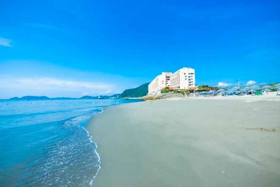 旬の味わい華やかに【徳島 春にんじんフェア】4/12スタート！ カクテル、ケーキ、サラダ、天ぷら etc. 画像 8