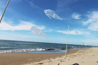 第２０回　丹沢アートフェスティヴァル　4/29〜5/31の期間神奈川県秦野市周辺エリアの４０のギャラリーを中心とした丹沢アートフェスティヴァルを開催します。 画像 17