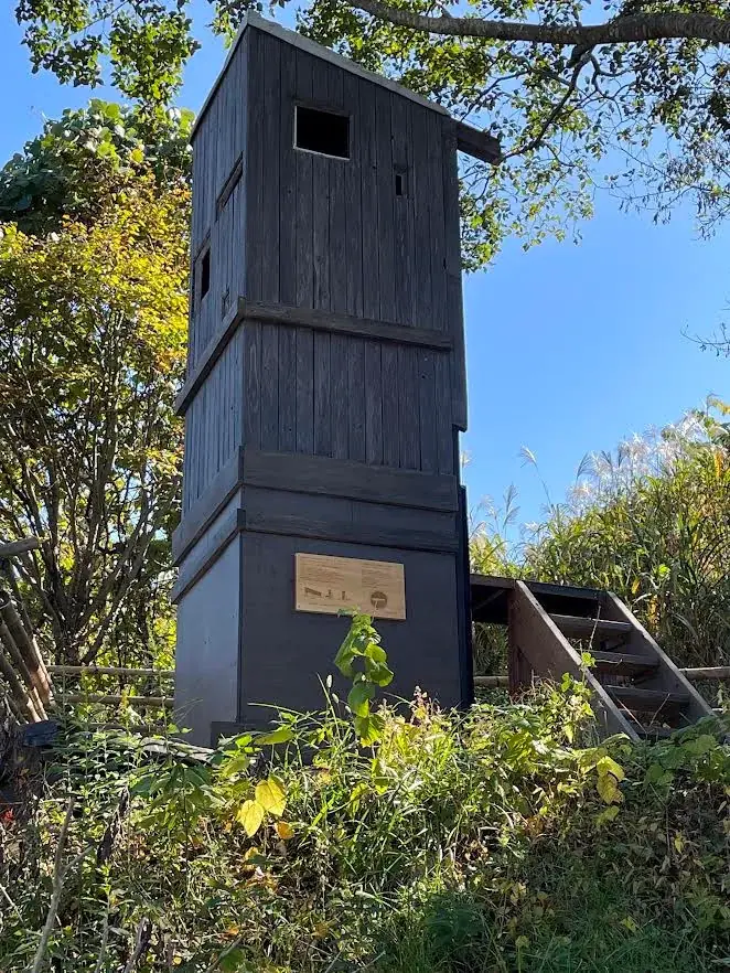 第２０回　丹沢アートフェスティヴァル　4/29〜5/31の期間神奈川県秦野市周辺エリアの４０のギャラリーを中心とした丹沢アートフェスティヴァルを開催します。 画像 20