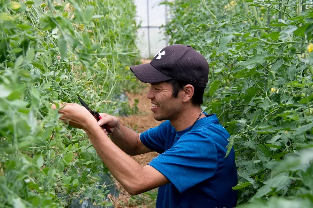 農業の「最高到達点」へ。115年続く農家5代目が、素材の力を120%引き出すために辿り着いた、究極のスープカレー店。｜北斗市白石農園株式会社 画像 2