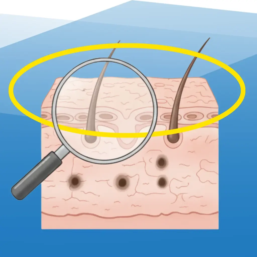 【サウナ好き必見‼】yoshiokubo×メンズ脱毛サロン「メンズクリア」コラボサウナグッズが当たるキャンペーンを開催 画像 12