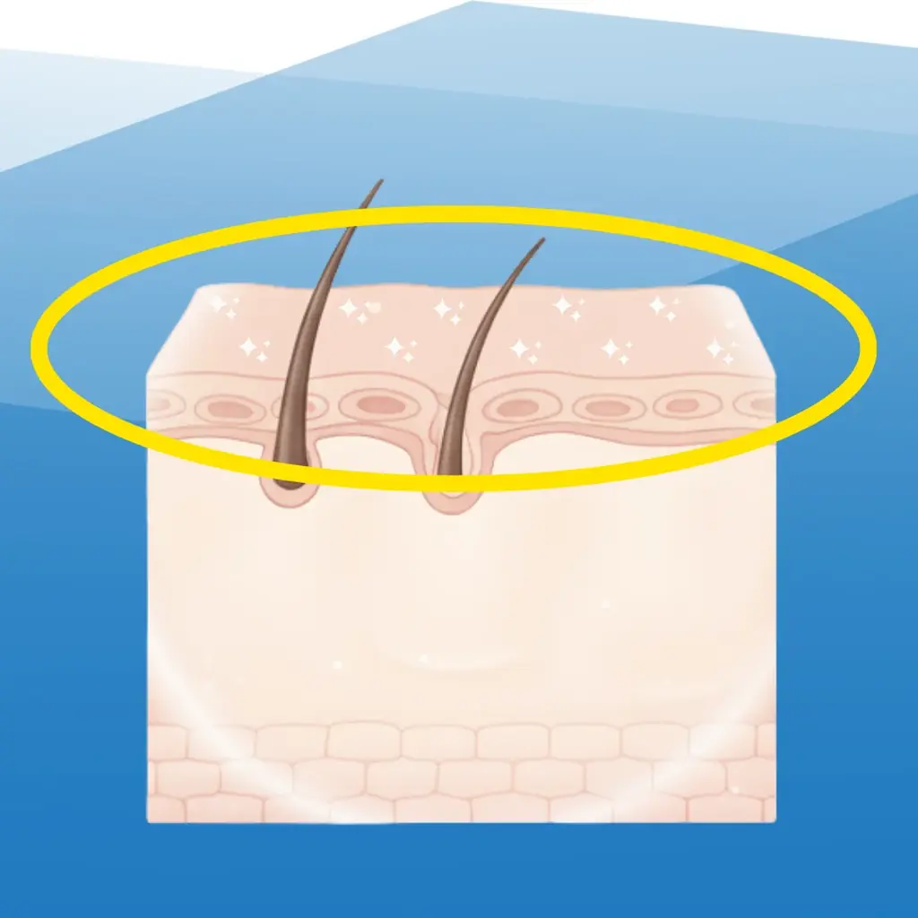 【サウナ好き必見‼】yoshiokubo×メンズ脱毛サロン「メンズクリア」コラボサウナグッズが当たるキャンペーンを開催 画像 13