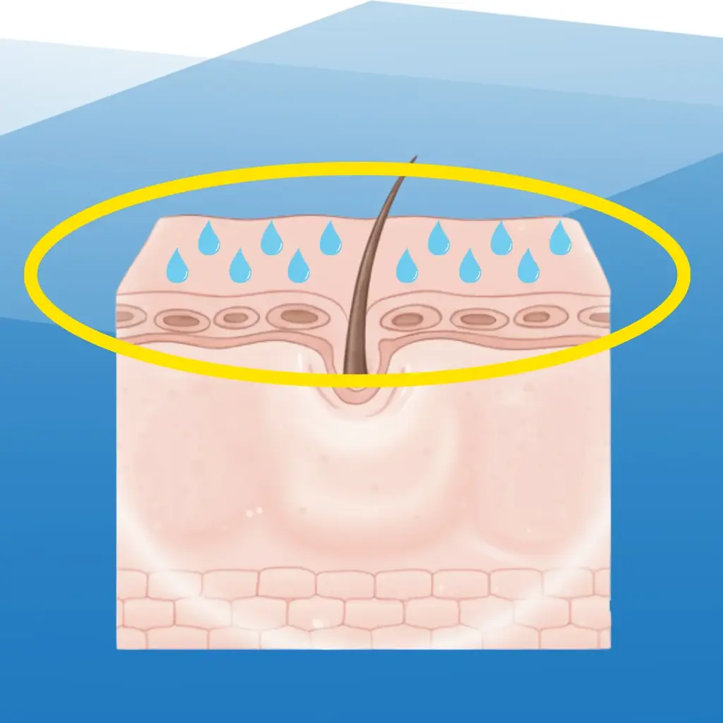 【サウナ好き必見‼】yoshiokubo×メンズ脱毛サロン「メンズクリア」コラボサウナグッズが当たるキャンペーンを開催 画像 14