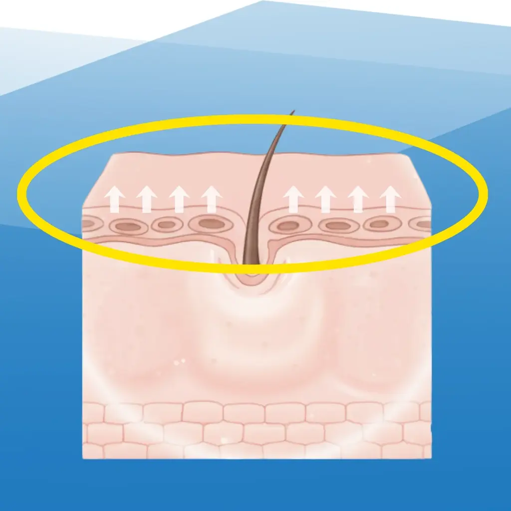 【サウナ好き必見‼】yoshiokubo×メンズ脱毛サロン「メンズクリア」コラボサウナグッズが当たるキャンペーンを開催 画像 15