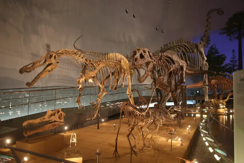 加賀・山中温泉【ファミリー旅を応援】幼児無料、小学生半額、グルメ ＆ 温泉チケット、鯛のお造り、色浴衣、カラオケ無料 etc. 公式HPだけの 1日5組限定プラン発売 画像 19