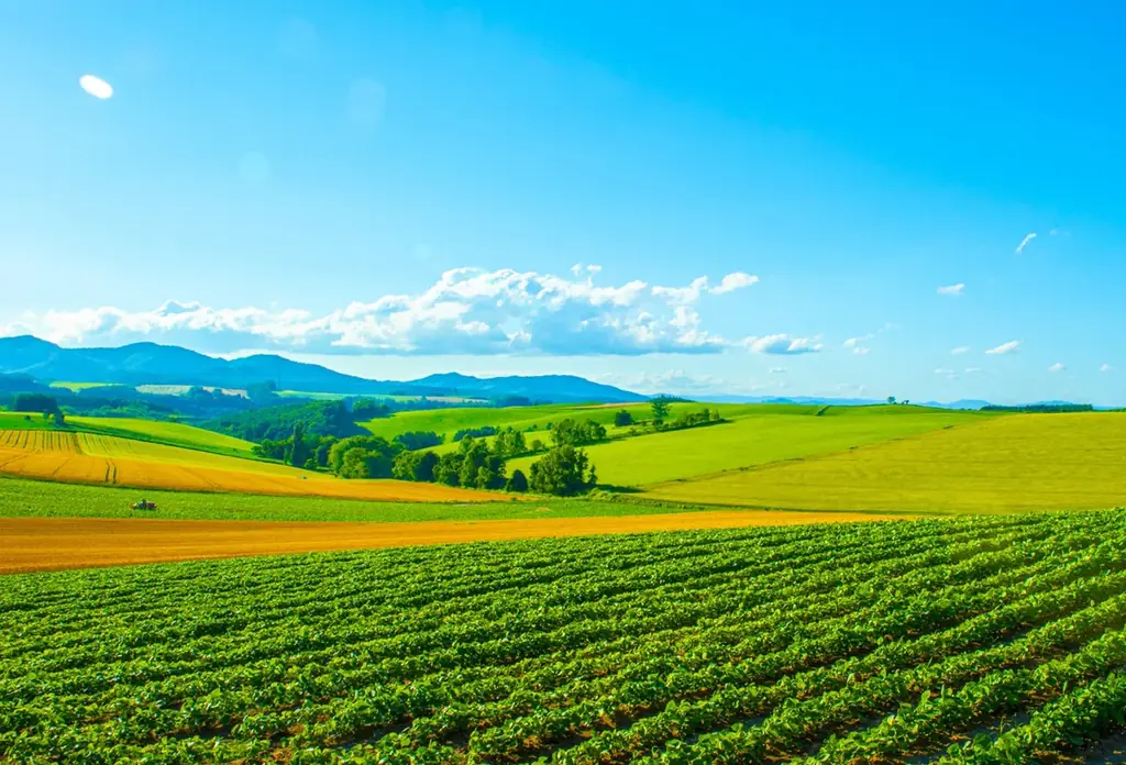 【横浜市に初出店！】北海道発・ペンギンベーカリーの新店舗『横浜元町店』が４月20日(月)にオープン 画像 5