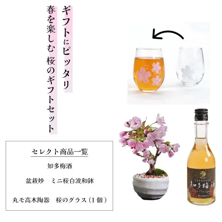 【母の日ギフトや春の贈り物に】５月に咲く桜で、自宅で花見酒が楽しめる「おうちでお花見 ～梅酒と盆栽セット～」が発売 画像 2