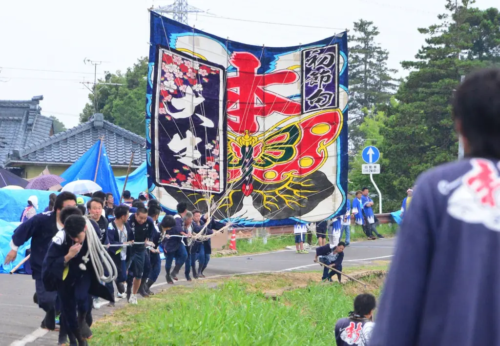 【オイシックス新潟】4/29(水・祝)の阪神戦にて「南区DAY」開催決定！プロ野球初の”白根の大凧”をエコスタのグラウンドで掲揚 画像 2