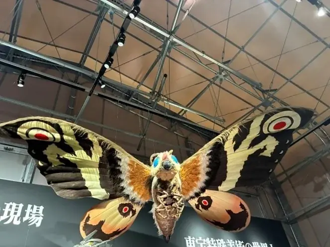 淡路島「ニジゲンノモリ」で大人気怪獣と出会える！ゴジラミュージアム「モスラ特別展」 事前予約特典第2弾 画像 2