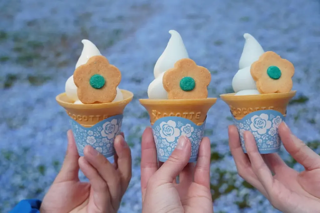 ネモフィラ 見頃（７分咲き）になりました（国営ひたち海浜公園） 画像 10