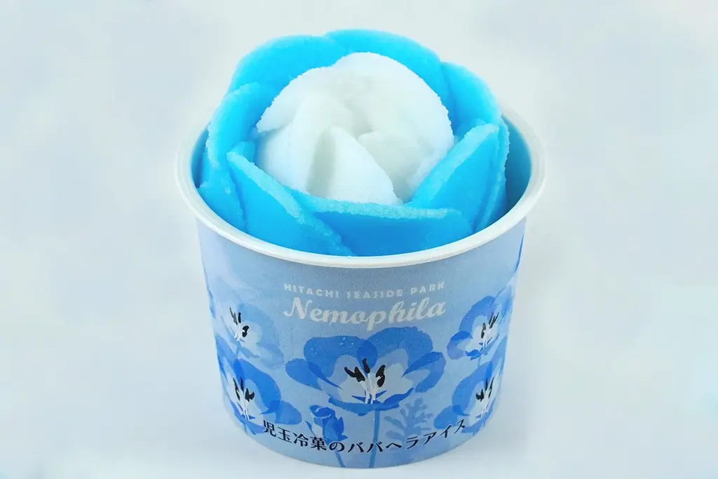 ネモフィラ 見頃（７分咲き）になりました（国営ひたち海浜公園） 画像 11