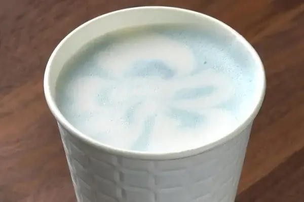 ネモフィラ 見頃（７分咲き）になりました（国営ひたち海浜公園） 画像 12