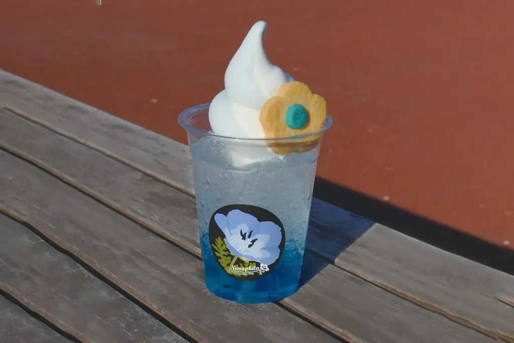 ネモフィラ 見頃（７分咲き）になりました（国営ひたち海浜公園） 画像 13