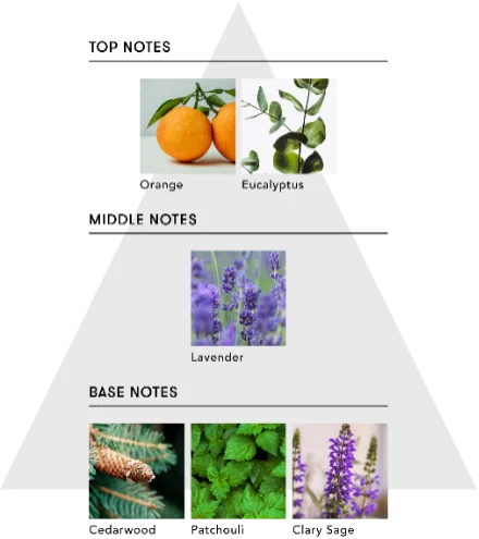五感をひらく、没入型マインドフルネス体験SINN PURETÉ×サウナ東京、香りで“ととのう”ロウリュイベント開催 画像 11