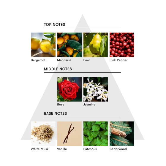 五感をひらく、没入型マインドフルネス体験SINN PURETÉ×サウナ東京、香りで“ととのう”ロウリュイベント開催 画像 15