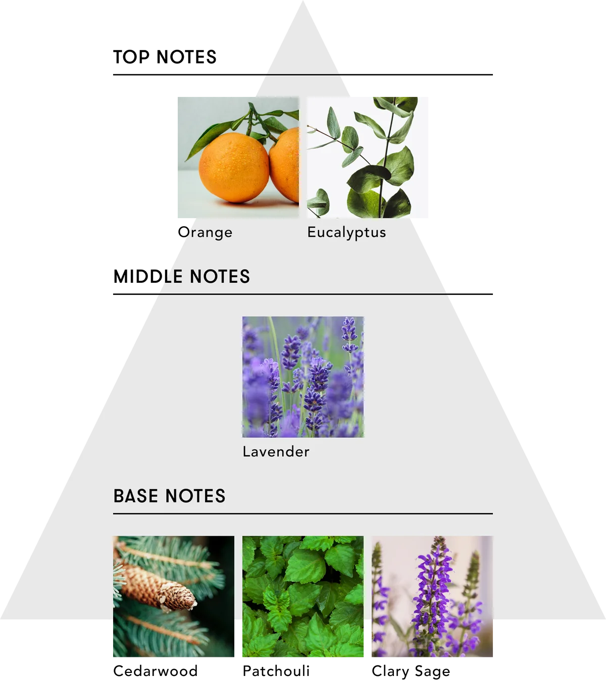 五感をひらく、没入型マインドフルネス体験SINN PURETÉ×サウナ東京、香りで“ととのう”ロウリュイベント開催 画像 12
