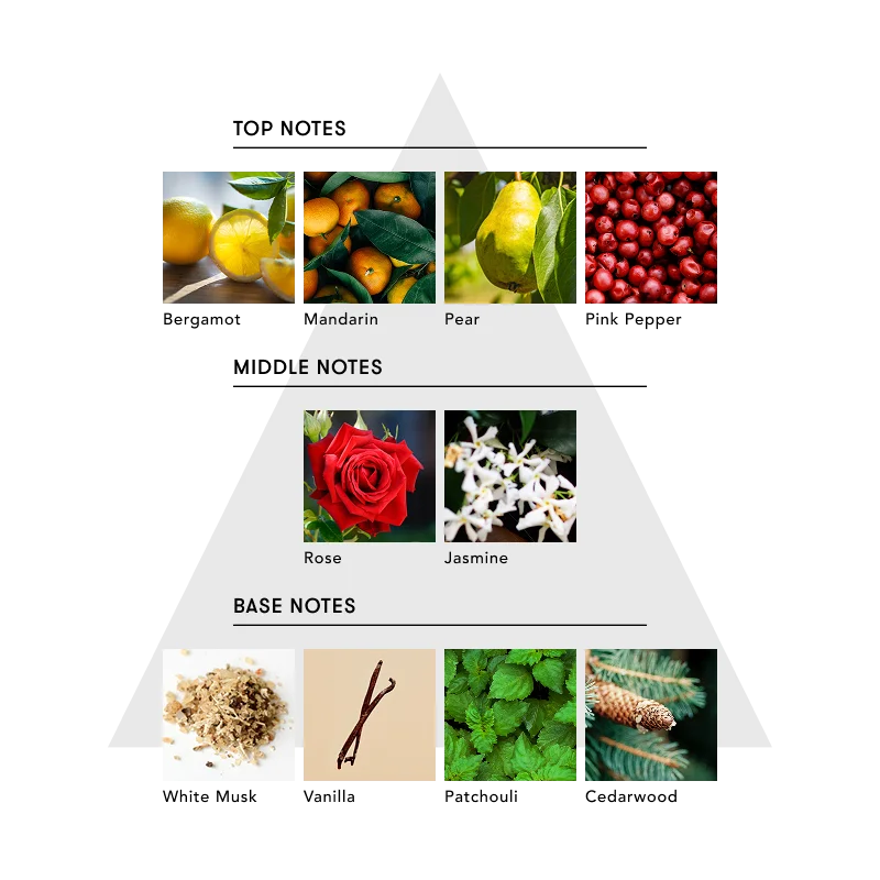 五感をひらく、没入型マインドフルネス体験SINN PURETÉ×サウナ東京、香りで“ととのう”ロウリュイベント開催 画像 16