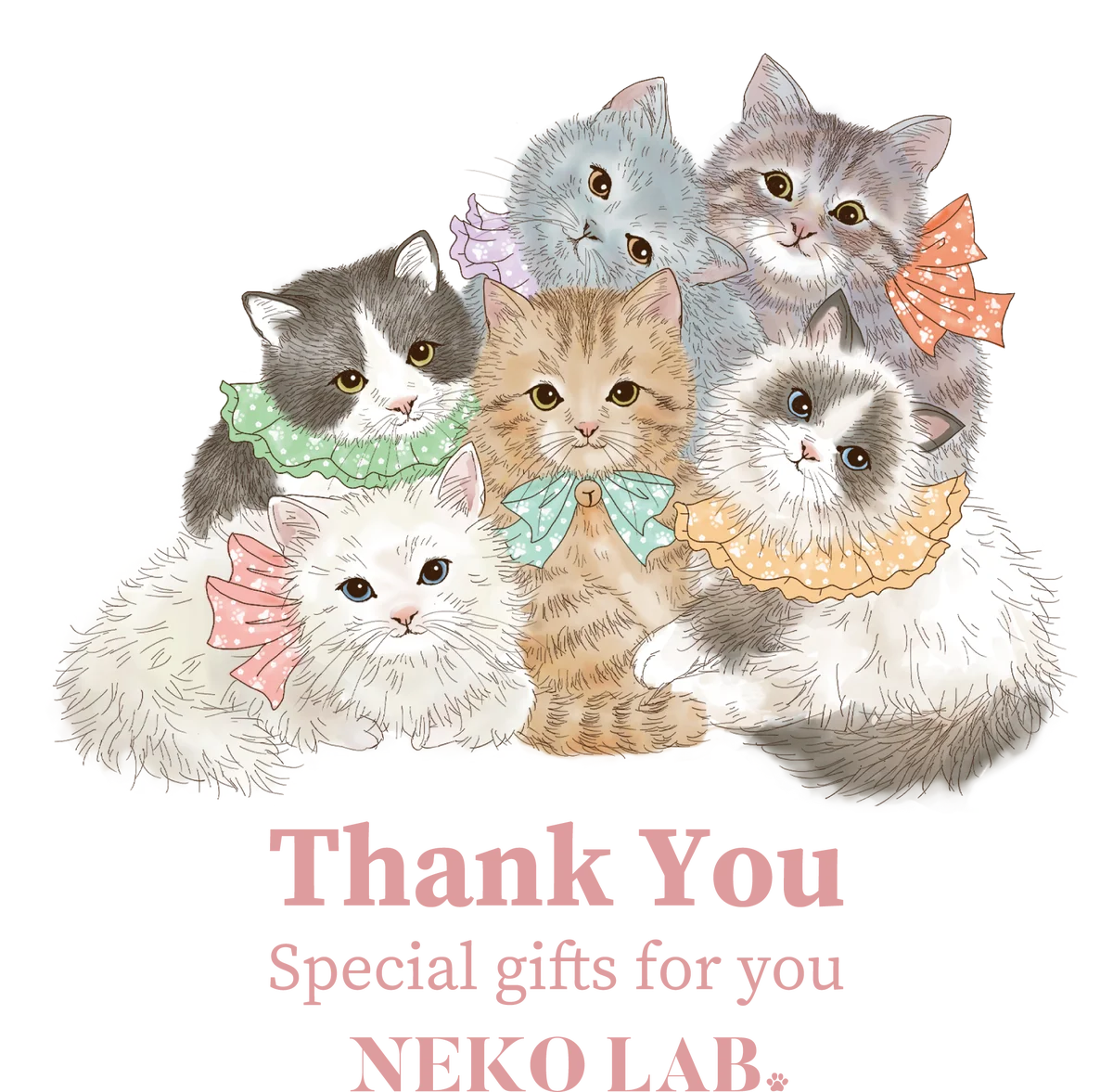 猫と贈る母の日ギフト。「ありがとう」を届ける限定セットを発売｜NEKO LAB 画像 4