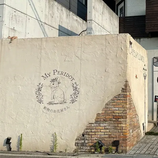 お母さんに「好き」を届けたい！リラックマや、すみっコぐらしのキャラクターフラワーの母の日ギフト予約開始。兵庫・西宮のマイペリドットが全国へお届け 画像 14