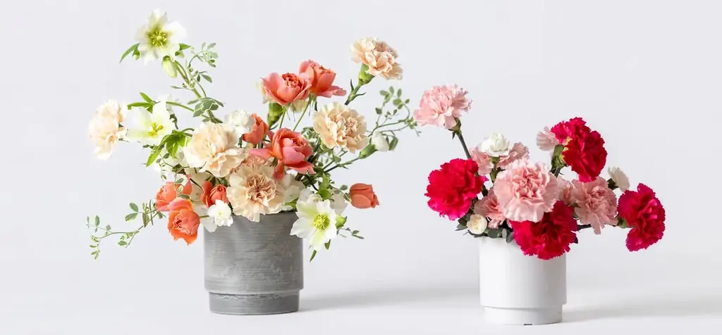 今年の母の日は、より特別に。冠婚葬祭のプロが提案する“想いをかたちにする”「花と食」のギフト特集を公開 画像 2