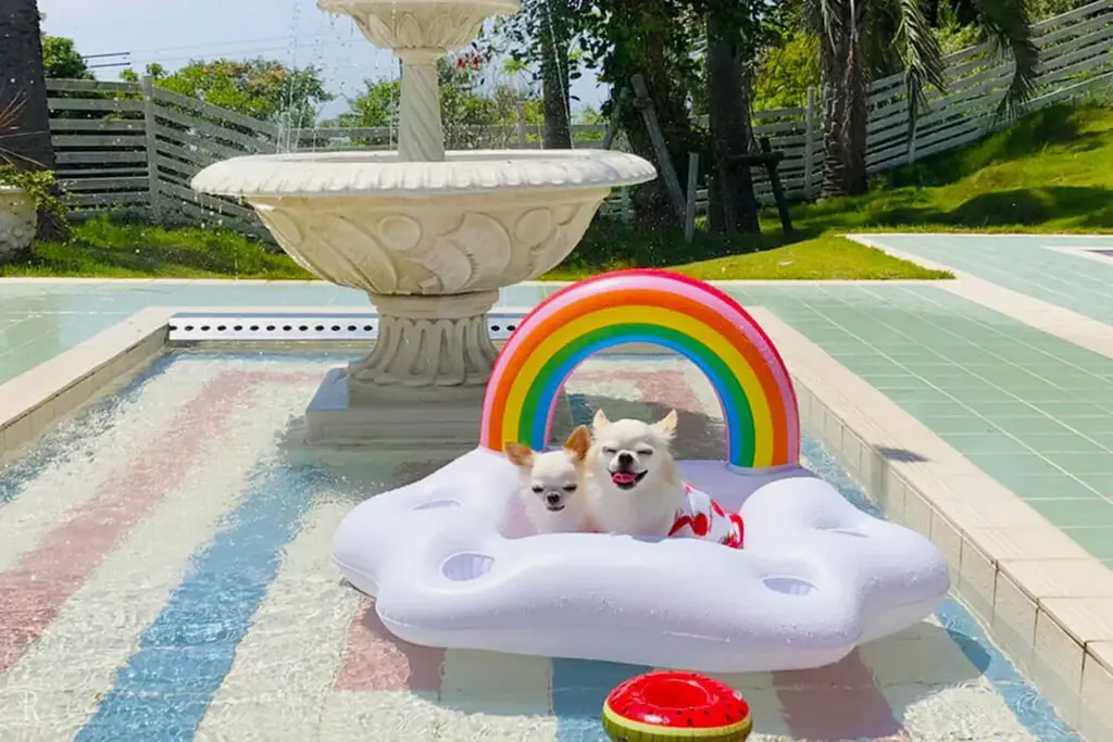 【1泊3食付で18,000円台〜】関西最大級のオールインクルーシブグランピング〈カリコリゾート淡路島〉で『熟成肉ダイニング誕生記念プラン』を販売開始。さらに期間限定で「縁日」毎日開催！ 画像 20