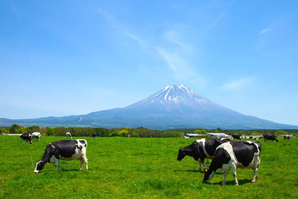 羽田初出店｜あさぎり牛乳のミルクスイーツ91日間