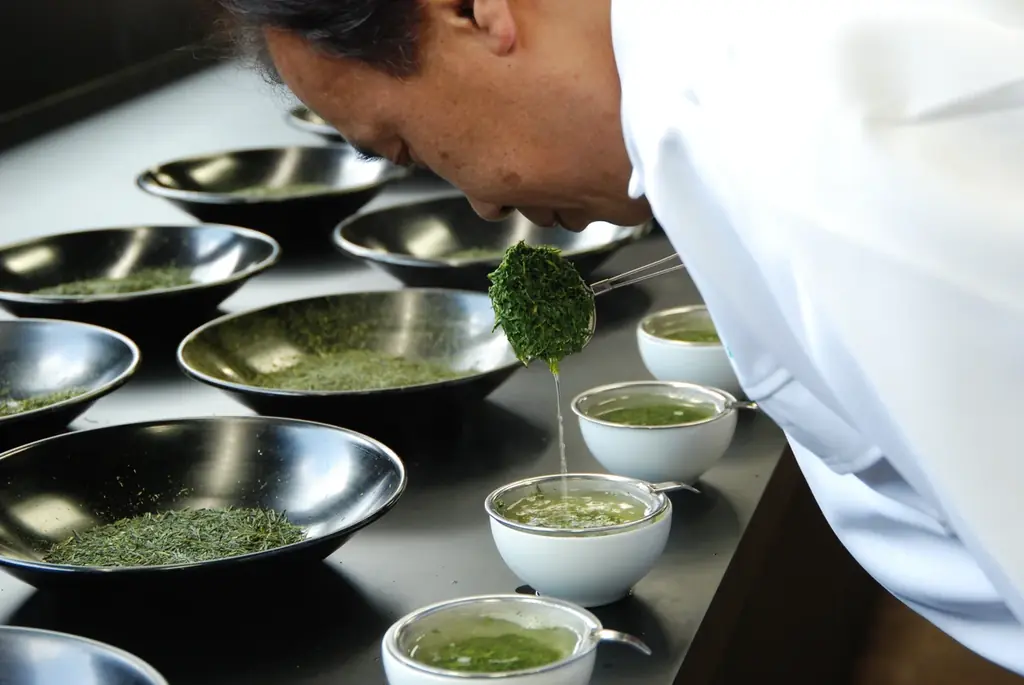 【森半とのコラボ再び！】京都の老舗ベーカリー「グランディール」より爽やかな柚子が香る『京生ちぎりパン～宇治の一番茶～』や抹茶に黒蜜ミルクを合わせたベーグルなど茶師監修の”一番茶”を使用したパンを新発売 画像 10