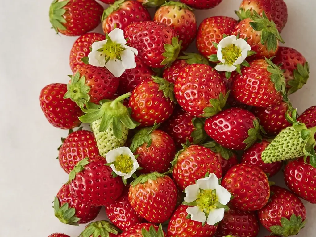 累計販売200万個突破！北海道発“ふわとろザク”の生チーズケーキ「CHEESE WONDER」5周年 ~春限定・人気フレーバー “まるごと苺”の「RED」復刻販売~ 画像 3