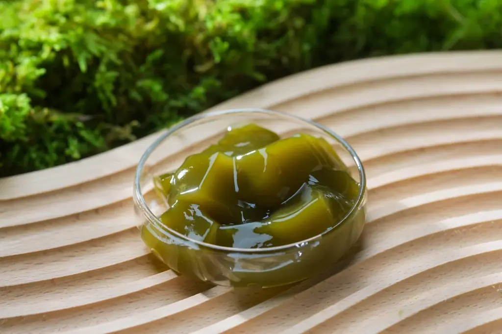 【奥入瀬渓流ホテル】食べられるこけ玉が新登場！奥入瀬渓流を代表する天然のこけ玉の成り立ちを表現した、知的好奇心を刺激するかき氷「おいらせこけ玉氷」提供開始 画像 10