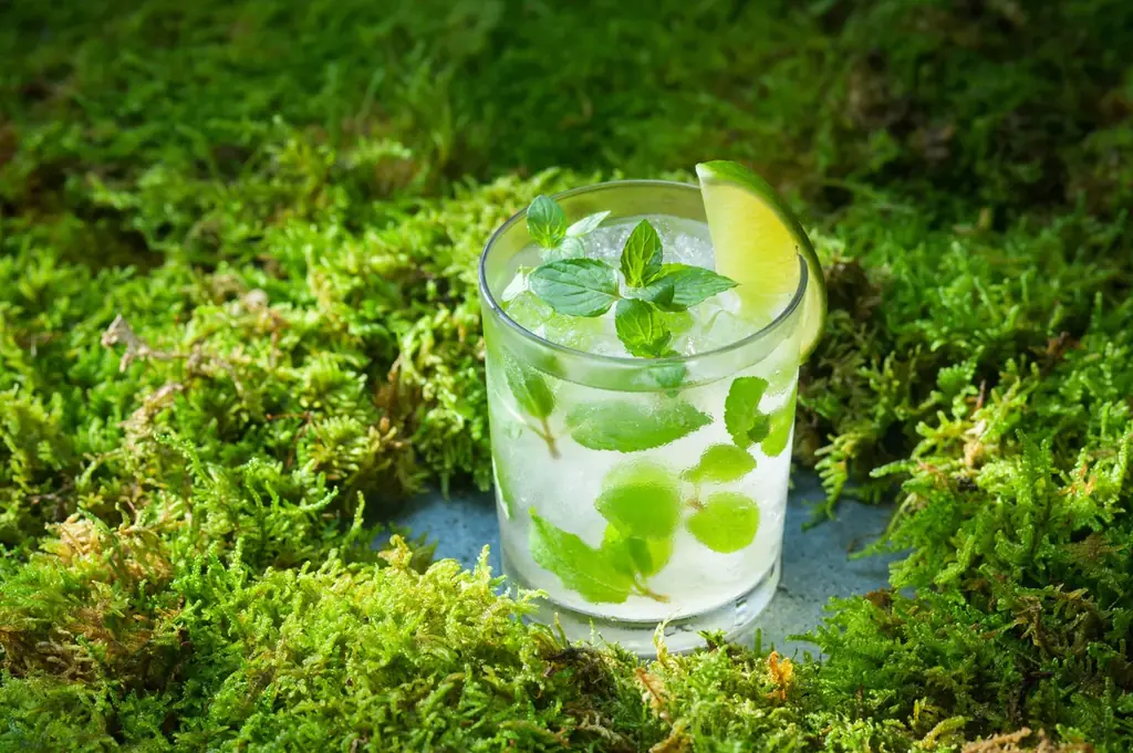 【奥入瀬渓流ホテル】食べられるこけ玉が新登場！奥入瀬渓流を代表する天然のこけ玉の成り立ちを表現した、知的好奇心を刺激するかき氷「おいらせこけ玉氷」提供開始 画像 11