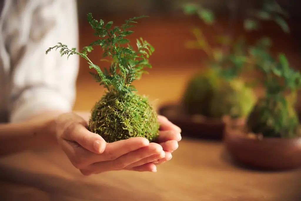 【奥入瀬渓流ホテル】食べられるこけ玉が新登場！奥入瀬渓流を代表する天然のこけ玉の成り立ちを表現した、知的好奇心を刺激するかき氷「おいらせこけ玉氷」提供開始 画像 15