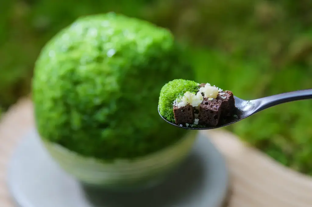 【奥入瀬渓流ホテル】食べられるこけ玉が新登場！奥入瀬渓流を代表する天然のこけ玉の成り立ちを表現した、知的好奇心を刺激するかき氷「おいらせこけ玉氷」提供開始 画像 3