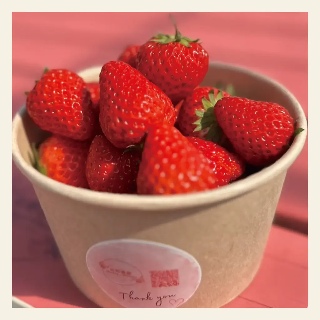 4月19日限定開催！山梨・勝沼「IWAI TERRACE」で初のクラフトマルシェ「IWAI MARCHÉ」地元食材とHUGE人気店が集結！ 画像 4