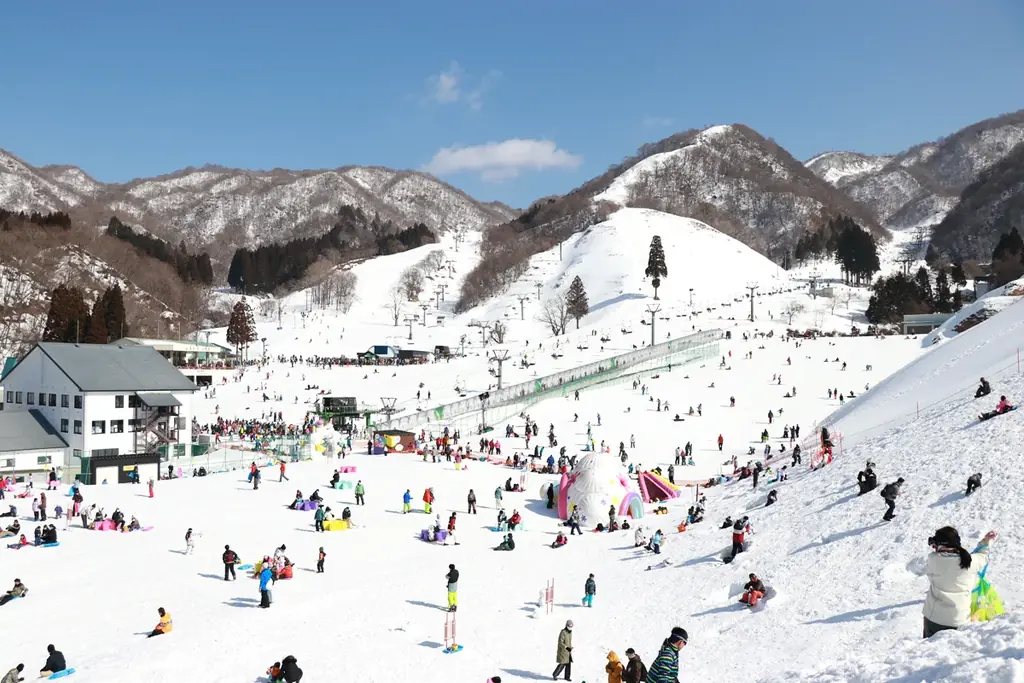 11/13開幕｜グランスノー奥伊吹 150日営業決定