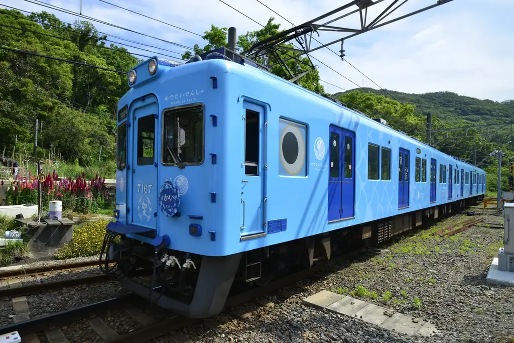 地元・和歌山市で愛される観光列車が“めでたい”10周年！10年分のありが10（とう）を込めて「めでたいでんしゃ運行開始10周年イベント」を開催 画像 2