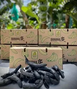 “フルーツでスマイルを。”のDole　Doleとエステー、異色のコラボ！ エステーから『脱臭炭 冷蔵庫用 バナナ炭』発売 画像 3