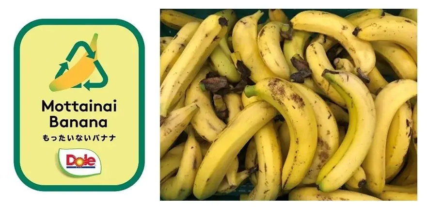 “フルーツでスマイルを。”のDole　Doleとエステー、異色のコラボ！ エステーから『脱臭炭 冷蔵庫用 バナナ炭』発売 画像 4