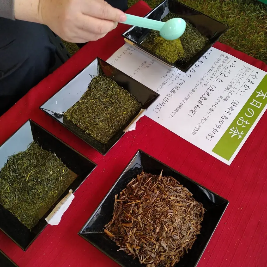 【阪急うめだ本店】“漆×キャンプ” 伝統工芸がアウトドアを革新。 220年続く漆の技をフィールドへ 画像 10