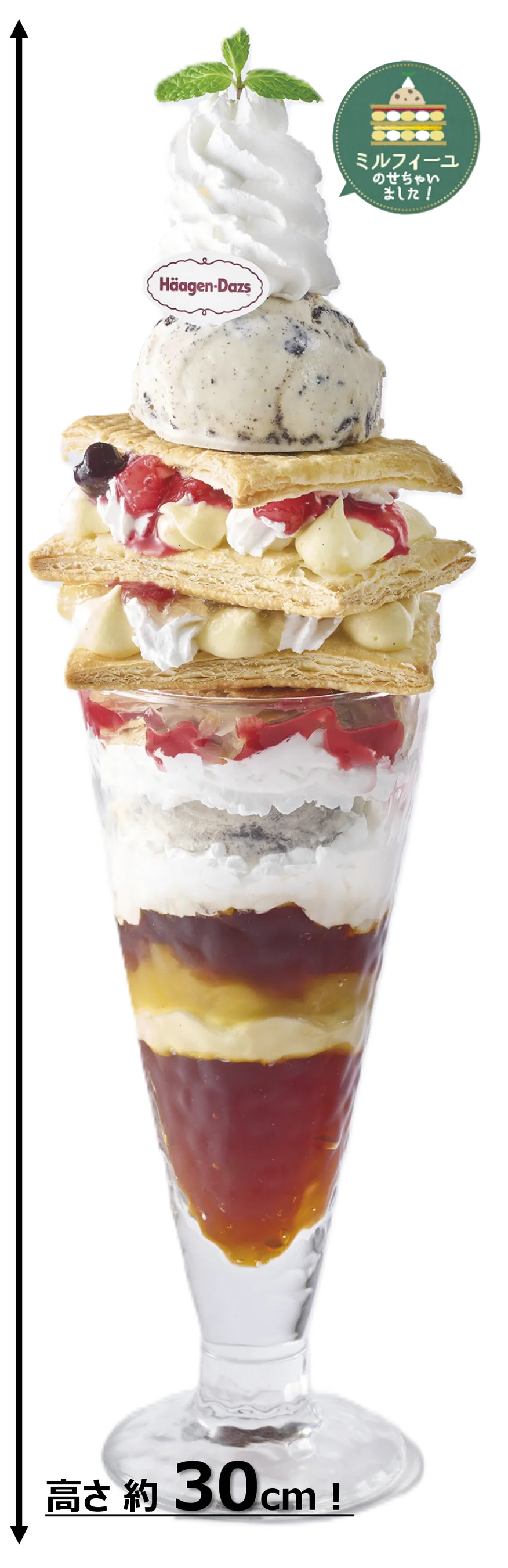 【ジョナサン】初夏ジョナの定番「稲庭うどん」の季節が到来！～ハーゲンダッツ「クッキー＆クリーム」で至福のご褒美～ 画像 7