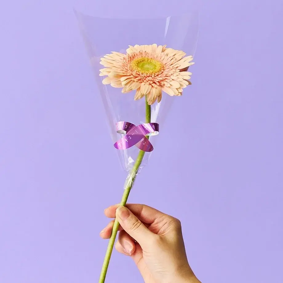 平面が立体に変身！新感覚のリボンシール『ポップアップリボン』発売 画像 13