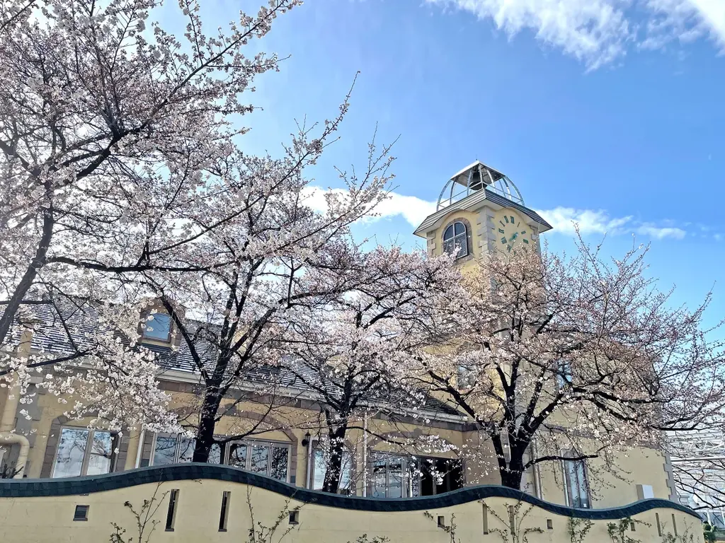 【新事実】ローズゼラニウムの保湿力はアロエの3.2倍！一般社団法人日本臨床試験協会（JACTA）の試験で判明。 画像 4