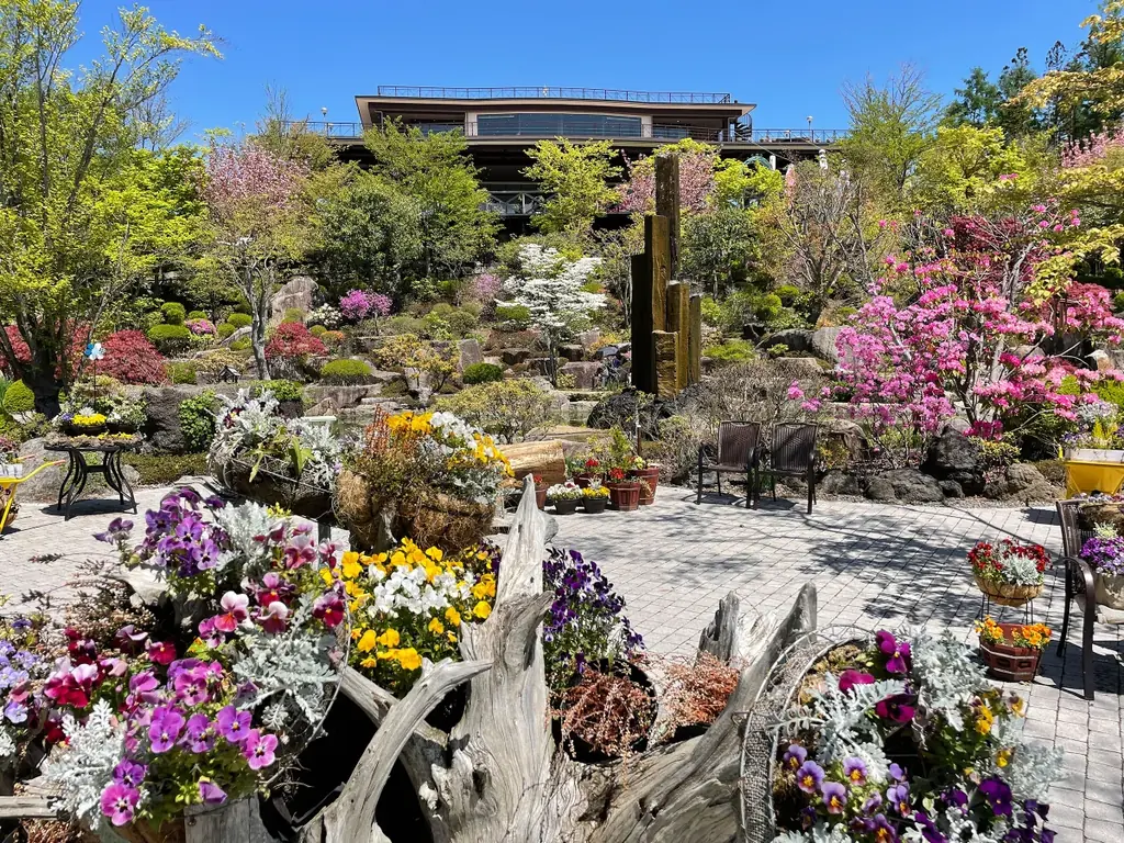 【新事実】ローズゼラニウムの保湿力はアロエの3.2倍！一般社団法人日本臨床試験協会（JACTA）の試験で判明。 画像 5