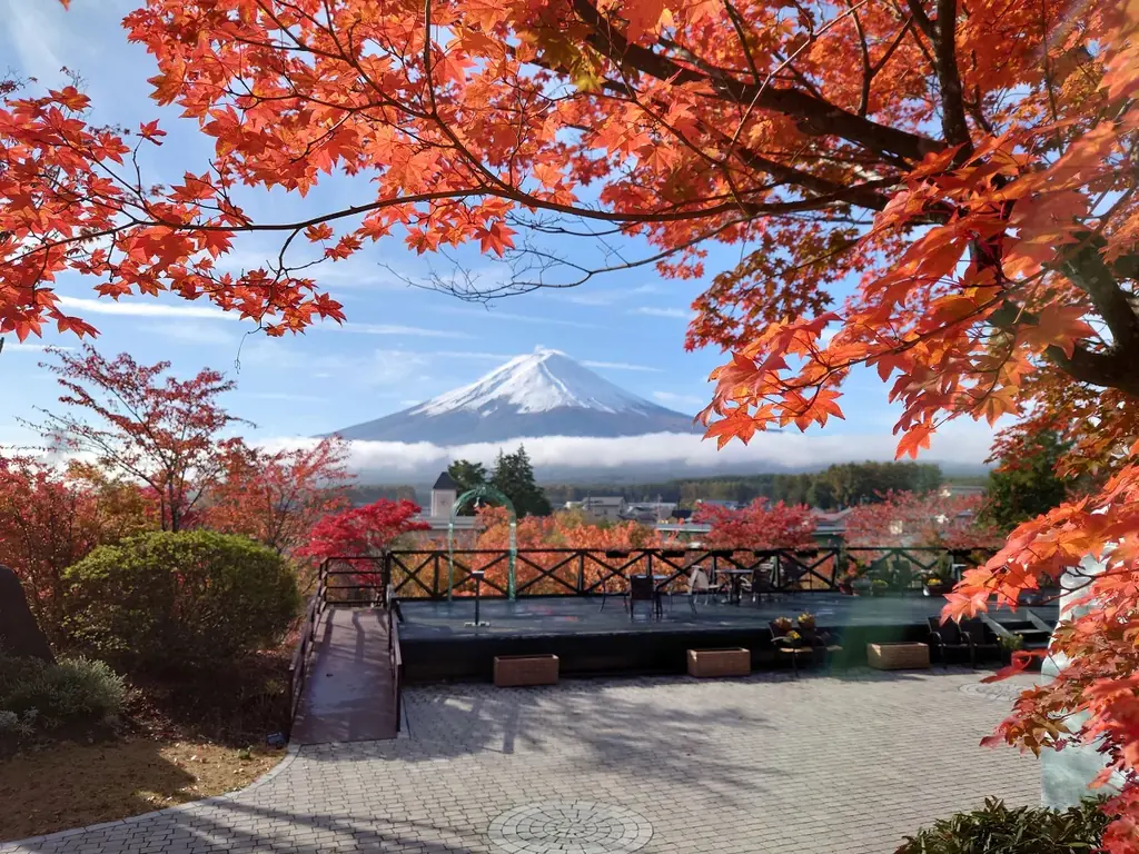 【新事実】ローズゼラニウムの保湿力はアロエの3.2倍！一般社団法人日本臨床試験協会（JACTA）の試験で判明。 画像 6